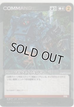 画像1: パーフェクトソルジャー
