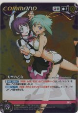 天空の乙女
