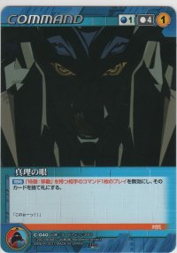真理の眼