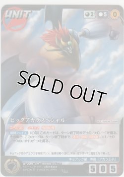 画像1: ビッグアカラスペシャル