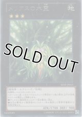 メリアスの木霊【レア】