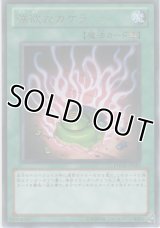 強欲なカケラ【レア】