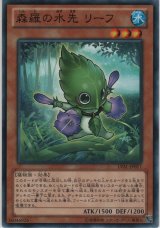 森羅の水先 リーフ【ノーマル】