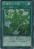 狂植物の氾濫【ノーマル】