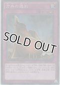 方舟の選別【コレクターズレア】