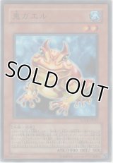 鬼ガエル【ノーマル】