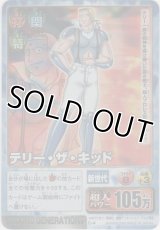 テリー・ザ・キッド