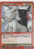 クロ＆シロ