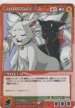 画像1: クロ＆シロ