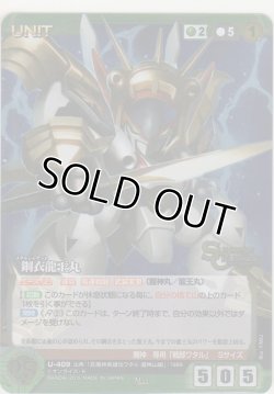 画像1: 鋼衣龍王丸