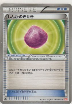画像1: しんかのきせき