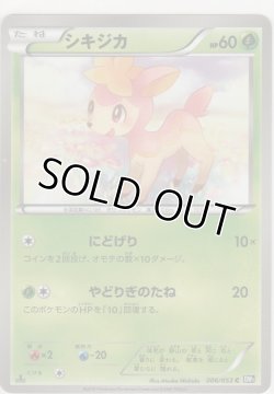 画像1: シキジカ