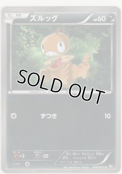 画像1: ズルッグ