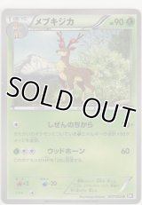 メブキジカ
