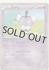 ゴチム