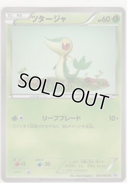 画像1: ツタージャ