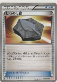 はねの化石