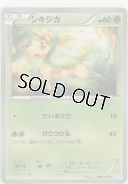 画像1: シキジカ