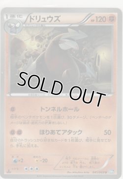 画像1: ドリュウズ