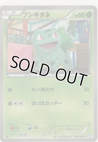 フシギダネ