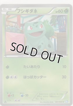 画像1: フシギダネ