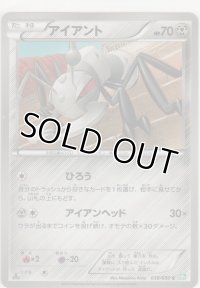 アイアント