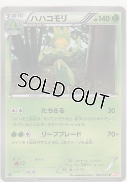 画像1: ハハコモリ