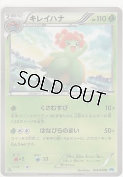 画像1: キレイハナ