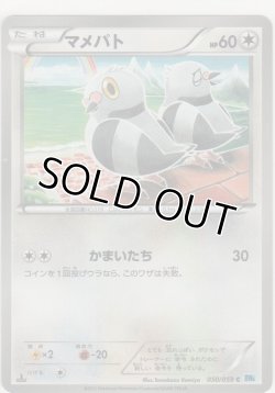 画像1: マメパト