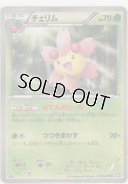 画像1: チェリム