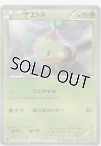 ナエトル
