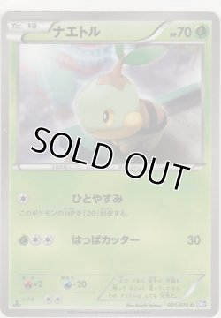 画像1: ナエトル