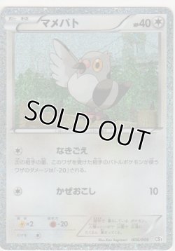 画像1: マメパト