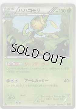 画像1: ハハコモリ