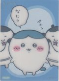 ハチワレ なに？