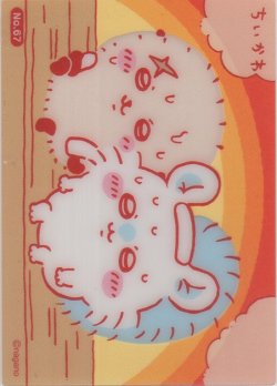 画像1: ラッコ＆モモンガ サウナ