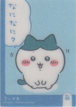 画像1: ハチワレ なになに？