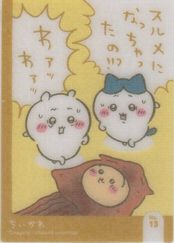 画像1: ちいかわ＆ハチワレ＆うさぎ スルメになっちゃたの