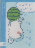モモンガ スイカ