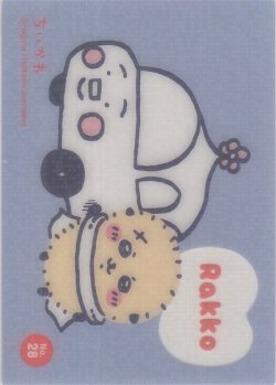 画像1: ラッコ 車