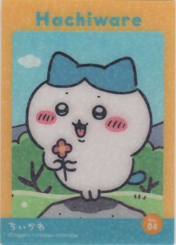 画像1: ハチワレ 花