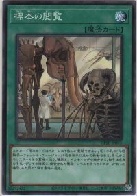 標本の閲覧【ノーマル】