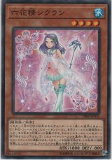 六花精シクラン【ノーマル】