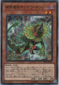捕食植物サンデウ・キンジー【ノーマル】