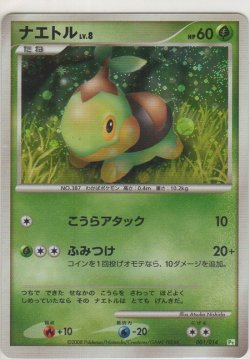 画像1: ナエトル LV.8