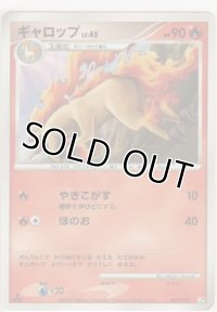 ギャロップ LV.45