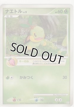 画像1: ナエトル LV.9