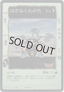 画像1: はさみくわがた