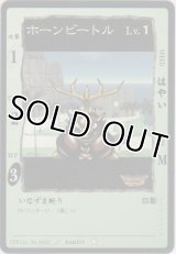 ホーンビートル