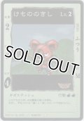 けもののきし